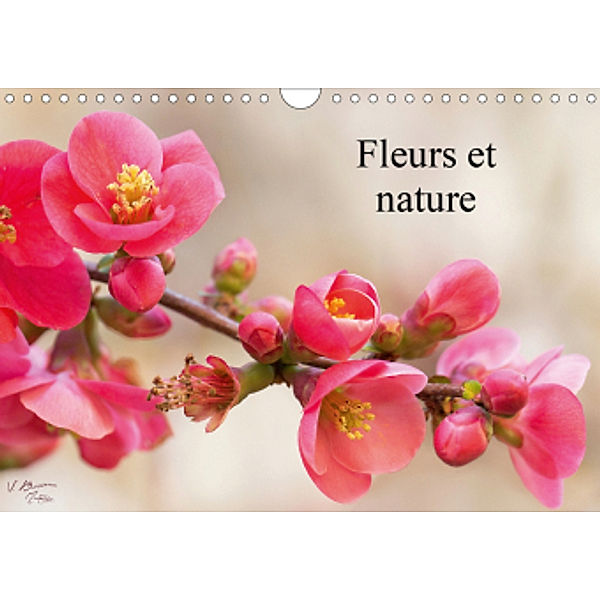 Fleurs et nature (Calendrier mural 2021 DIN A4 horizontal), Véronique BROSSEAU MATOSSY