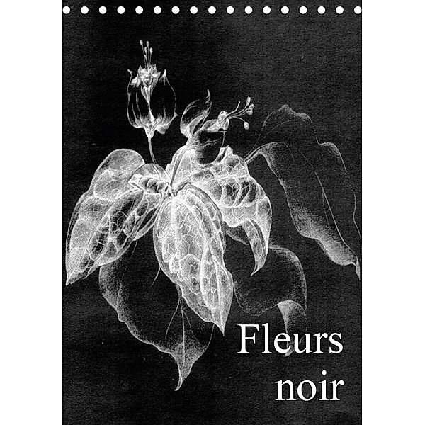 Fleurs noir (Tischkalender 2019 DIN A5 hoch), Friederike Küster