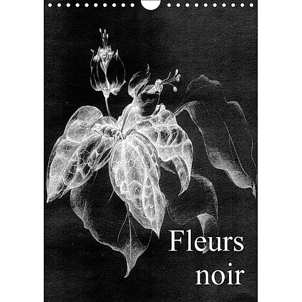 Fleurs noir (Wandkalender 2018 DIN A4 hoch), Friederike Küster