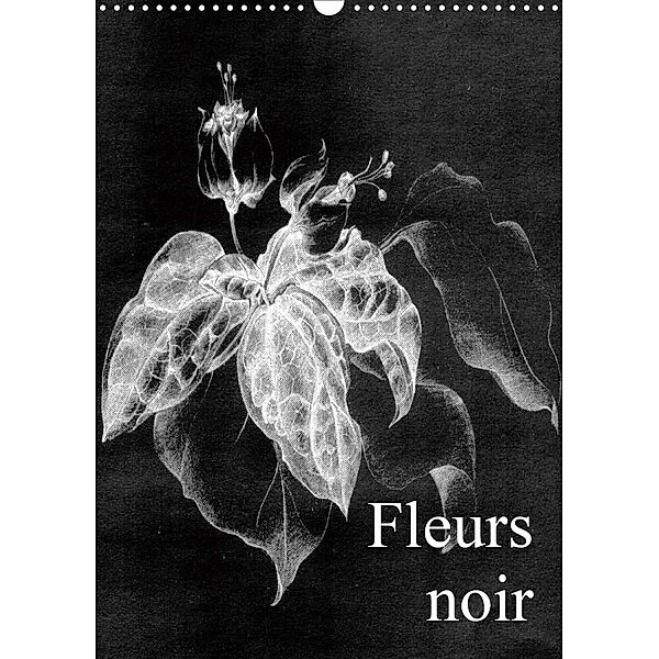 Fleurs noir (Wandkalender 2020 DIN A3 hoch), Friederike Küster