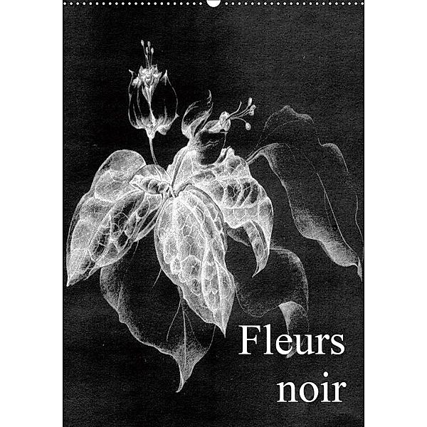 Fleurs noir (Wandkalender 2021 DIN A2 hoch), Friederike Küster