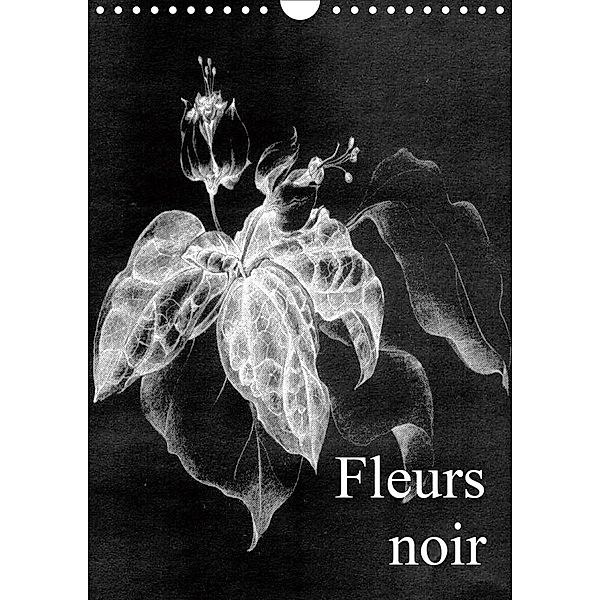Fleurs noir (Wandkalender 2021 DIN A4 hoch), Friederike Küster