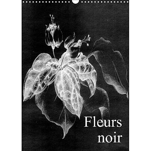 Fleurs noir (Wandkalender 2022 DIN A3 hoch), Friederike Küster