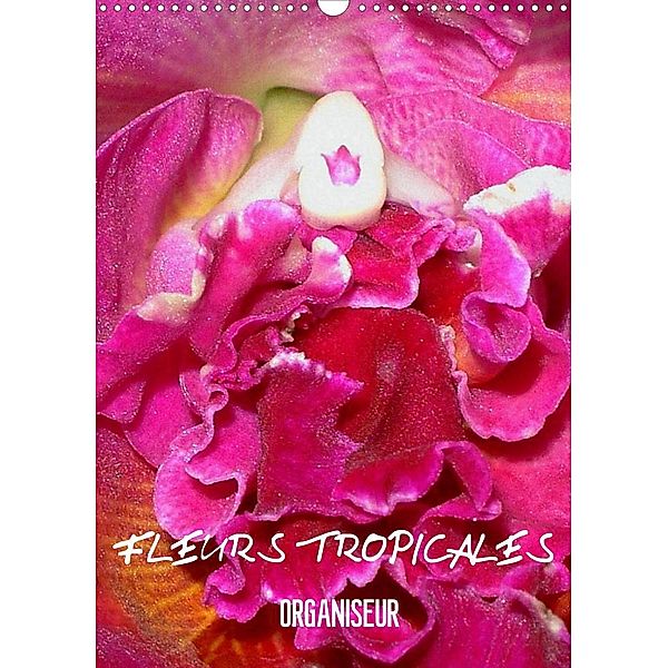 Fleurs tropicales / organiseur (Calendrier mural 2022 DIN A3 vertical), Rudolf Blank