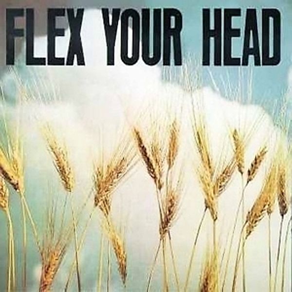 Flex Your Head - A Dc Sampler, Diverse Interpreten