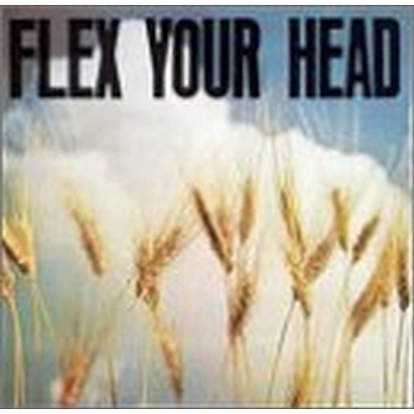 Flex Your Head - A Dc Sampler, Diverse Interpreten