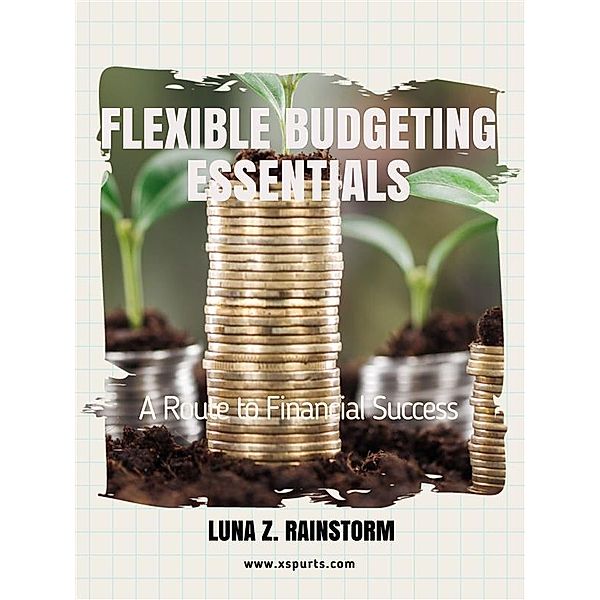 Flexible Budgeting Essentials, Luna Z. Rainstorm