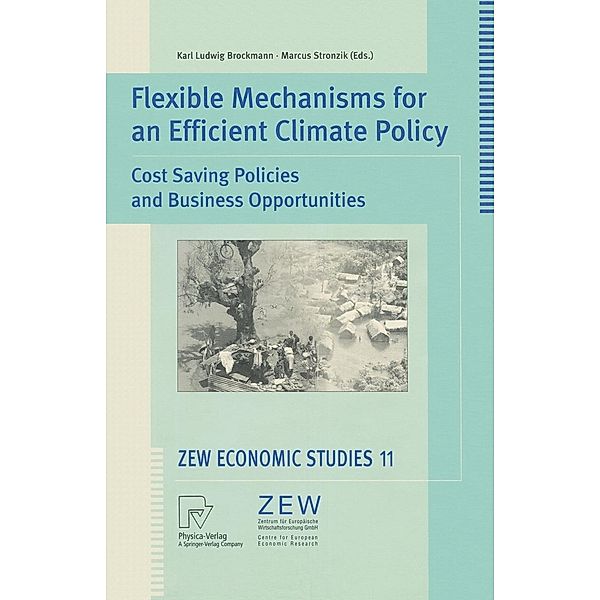 Flexible Mechanisms for an Efficient Climate Policy / ZEW Economic Studies Bd.11