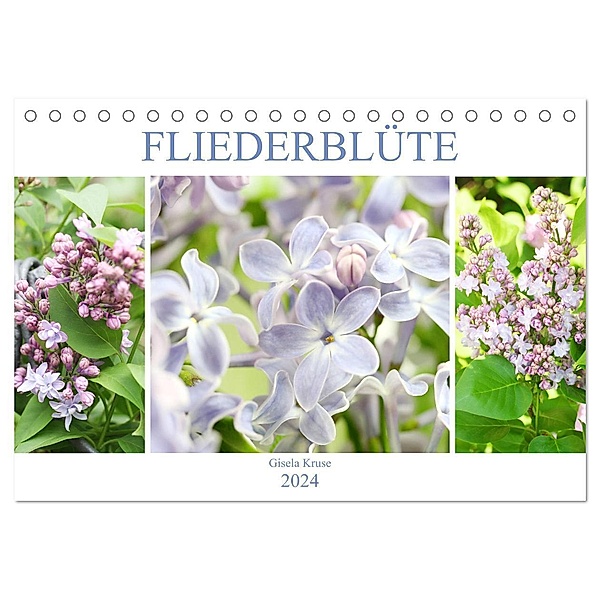 Fliederblüte (Tischkalender 2024 DIN A5 quer), CALVENDO Monatskalender, Gisela Kruse