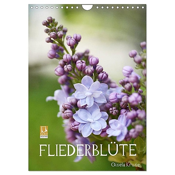 Fliederblüte (Wandkalender 2024 DIN A4 hoch), CALVENDO Monatskalender, Gisela Kruse