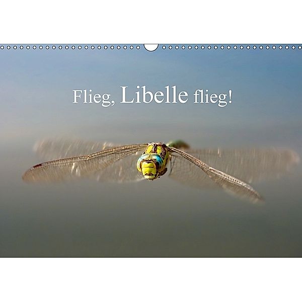 Flieg, Libelle flieg! (Wandkalender 2018 DIN A3 quer), Johann Frank