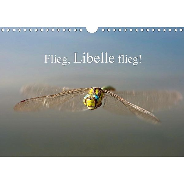 Flieg, Libelle flieg! (Wandkalender 2020 DIN A4 quer), Johann Frank