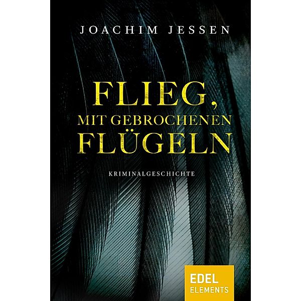 Flieg, mit gebrochenen Flügeln, Joachim Jessen