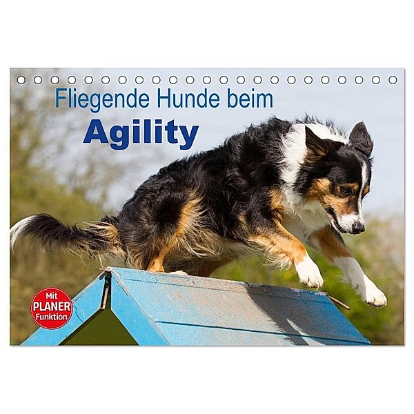 Fliegende Hunde beim Agility (Tischkalender 2024 DIN A5 quer), CALVENDO Monatskalender, Verena Scholze