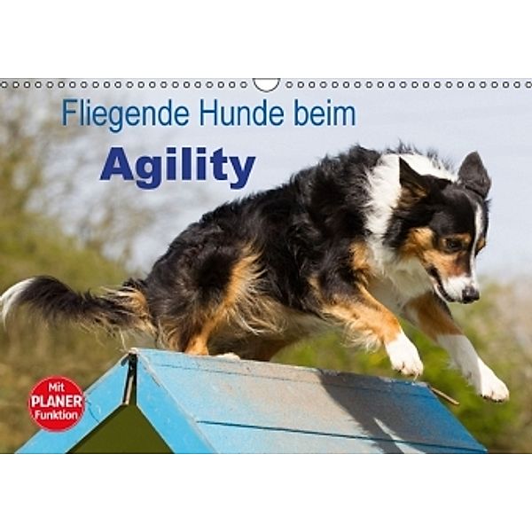 Fliegende Hunde beim Agility (Wandkalender 2016 DIN A3 quer), Verena Scholze
