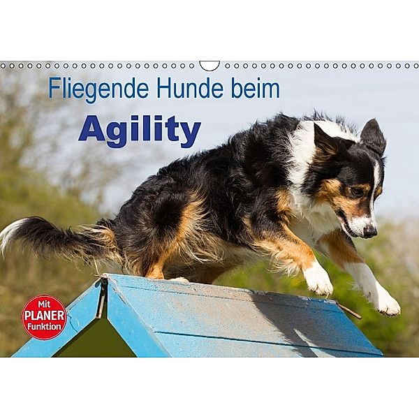 Fliegende Hunde beim Agility (Wandkalender 2018 DIN A3 quer), Verena Scholze