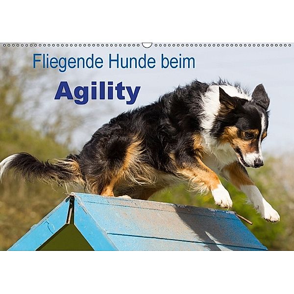 Fliegende Hunde beim Agility (Wandkalender 2018 DIN A2 quer), Verena Scholze