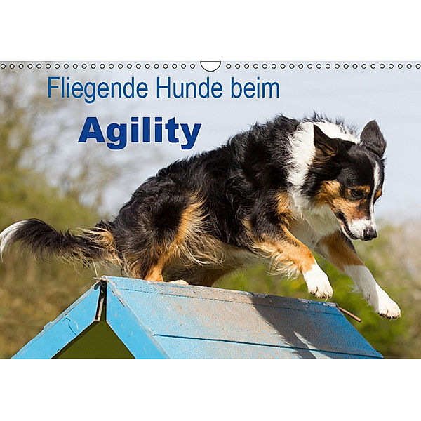 Fliegende Hunde beim Agility (Wandkalender 2019 DIN A3 quer), Verena Scholze