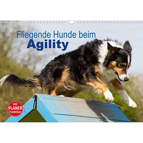 Fliegende Hunde beim Agility (Wandkalender 2022 DIN A3 quer), Verena Scholze