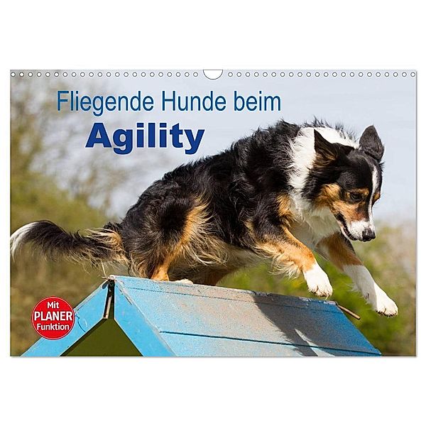 Fliegende Hunde beim Agility (Wandkalender 2024 DIN A3 quer), CALVENDO Monatskalender, Verena Scholze