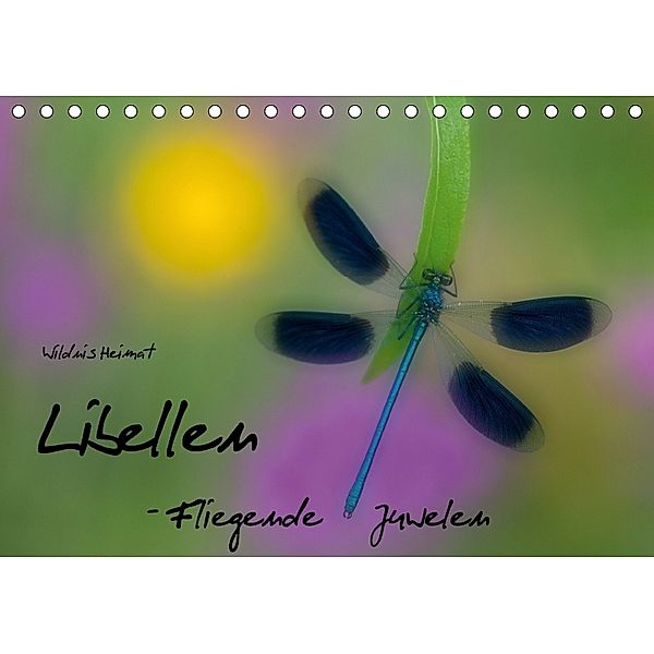 Fliegende Juwelen - Libellen (Tischkalender 2018 DIN A5 quer), Ferry BÖHME