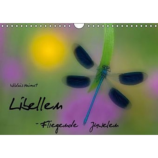Fliegende Juwelen - Libellen (Wandkalender 2016 DIN A4 quer), Ferry Böhme