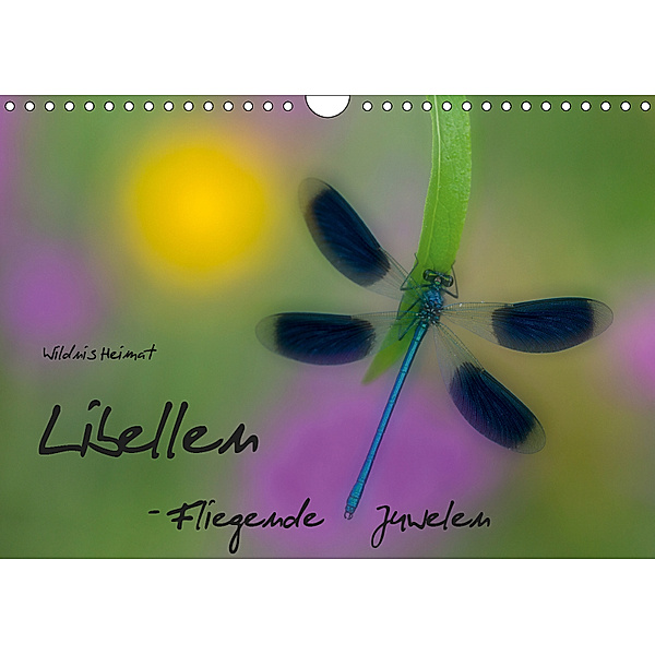 Fliegende Juwelen - Libellen (Wandkalender 2019 DIN A4 quer), Ferry BÖHME
