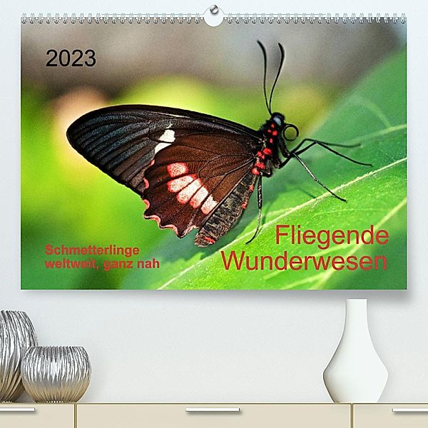 Fliegende Wunderwesen. Schmetterlinge weltweit, ganz nah (Premium, hochwertiger DIN A2 Wandkalender 2023, Kunstdruck in, Thomas Zeidler