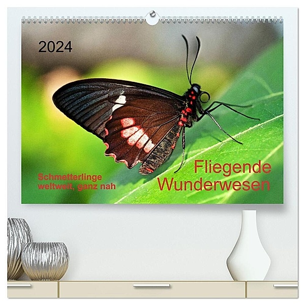 Fliegende Wunderwesen. Schmetterlinge weltweit, ganz nah (hochwertiger Premium Wandkalender 2024 DIN A2 quer), Kunstdruck in Hochglanz, Thomas Zeidler