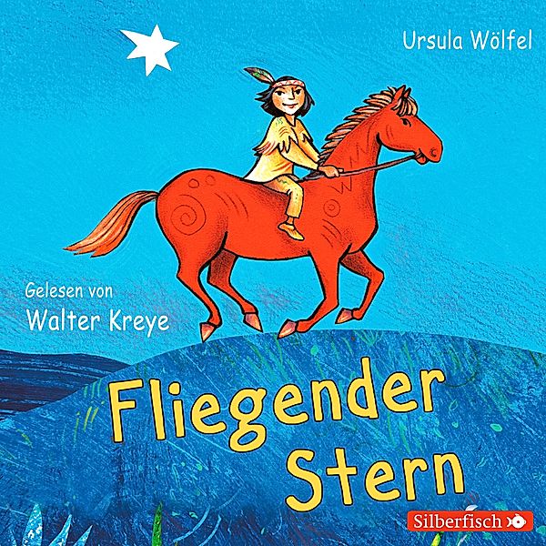 Fliegender Stern,2 Audio-CD, Ursula Wölfel