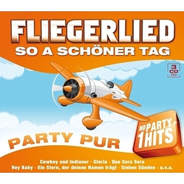 Fliegerlied - So a schöner Tag, Diverse Interpreten