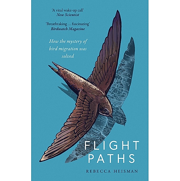 Flight Paths, Rebecca Heisman