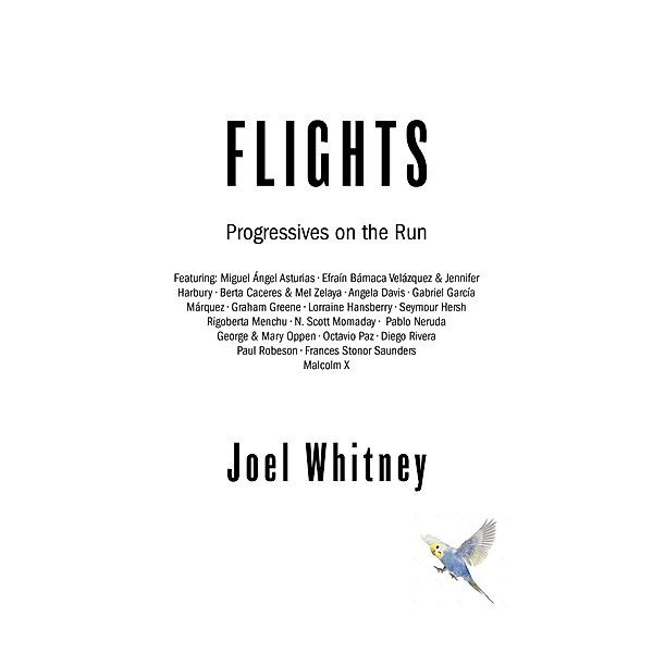 Flights, Joel Whitney