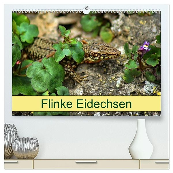 Flinke Eidechsen (hochwertiger Premium Wandkalender 2024 DIN A2 quer), Kunstdruck in Hochglanz, Kattobello