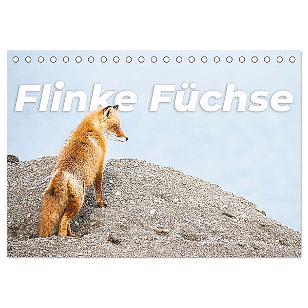 Flinke Füchse (Tischkalender 2024 DIN A5 quer), CALVENDO Monatskalender, Happy Monkey