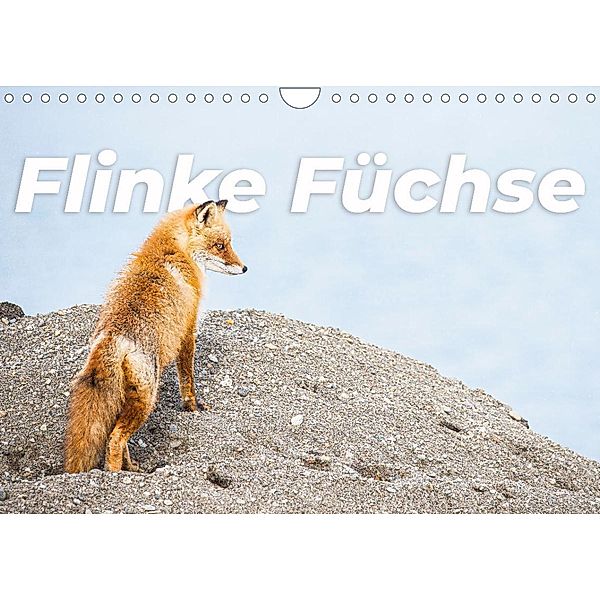 Flinke Füchse (Wandkalender 2023 DIN A4 quer), SF