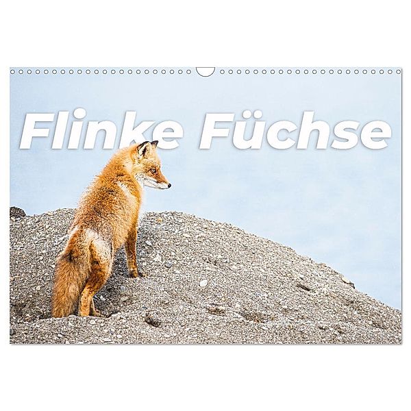 Flinke Füchse (Wandkalender 2024 DIN A3 quer), CALVENDO Monatskalender, Happy Monkey