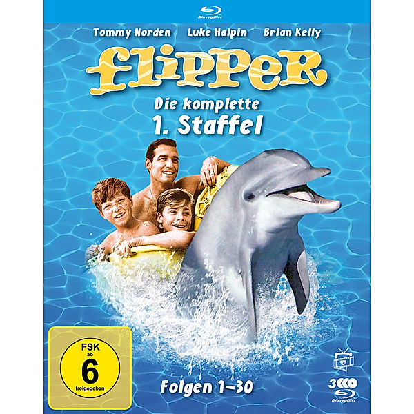 Flipper - Staffel 1, Brian Kelly, Tommy Norden