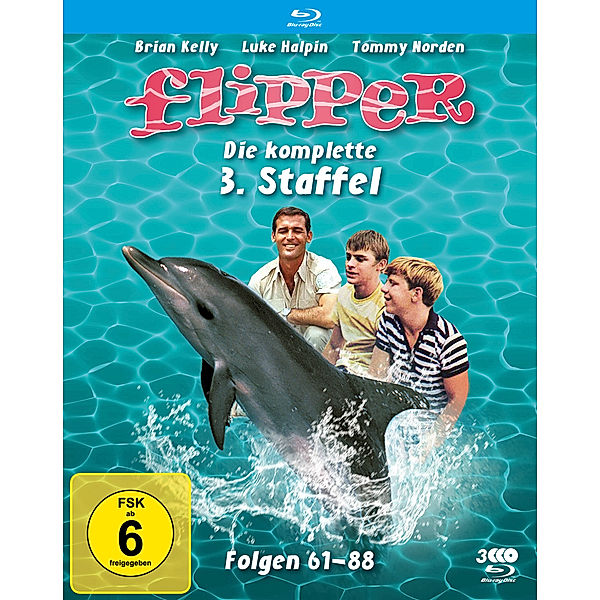 Flipper - Staffel 3, Brian Kelly, Tommy Norden