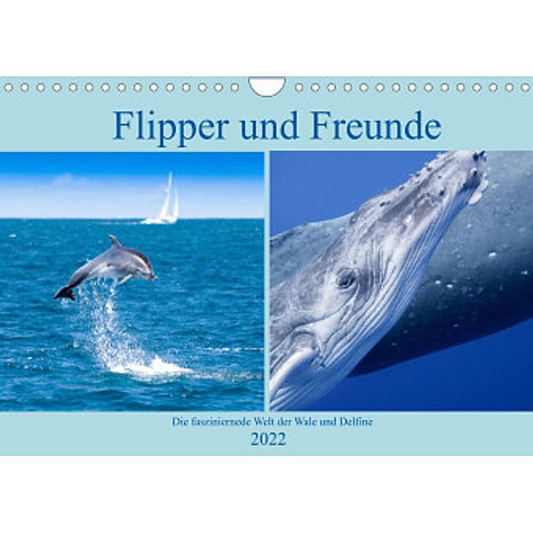 Flipper und Freunde (Wandkalender 2022 DIN A4 quer), Travelpixx.com