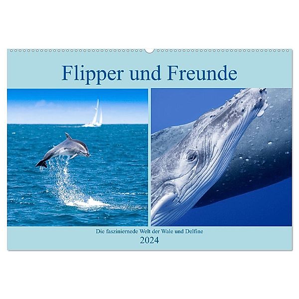 Flipper und Freunde (Wandkalender 2024 DIN A2 quer), CALVENDO Monatskalender, Travelpixx.com