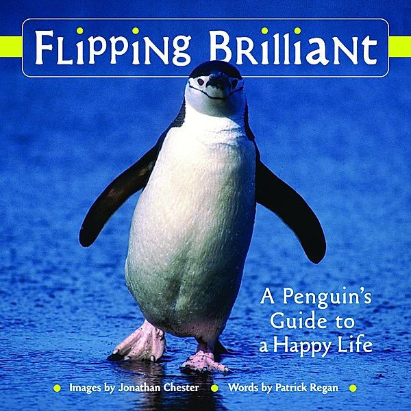 Flipping Brilliant / Extreme Images Bd.1, Jonathan Chester
