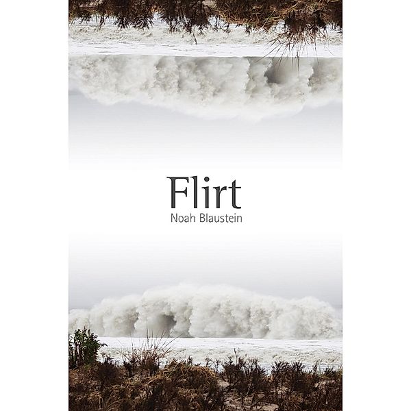 Flirt / Mary Burritt Christiansen Poetry Series, Noah Blaustein