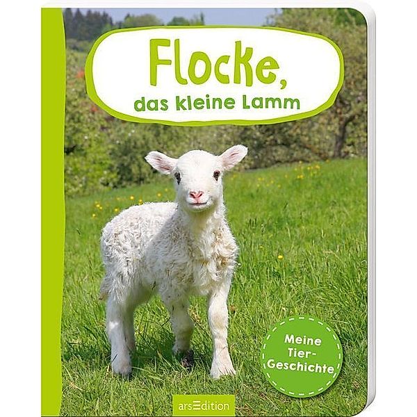 Flocke, das kleine Lamm