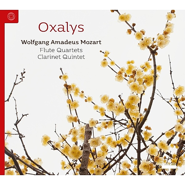Flötenquartette/Klarinettenquintett, Oxalys