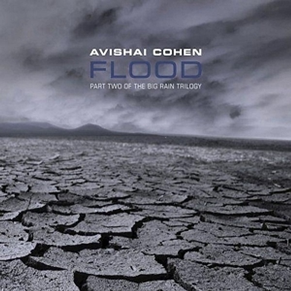 Flood, Avishai Cohen
