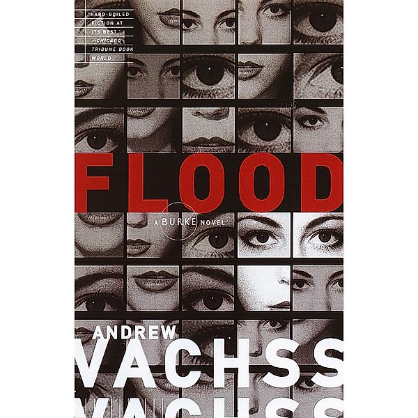 Flood / Burke Series Bd.1, Andrew H. Vachss