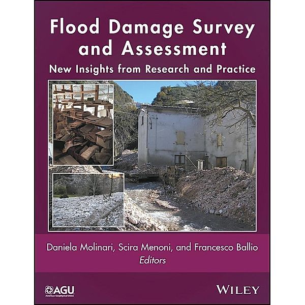 Flood Damage Survey and Assessment / Geophysical Monograph Series Bd.1
