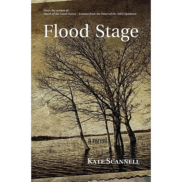 Flood Stage -- A Novel, Kate Scannell