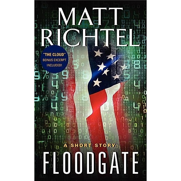 Floodgate, Matt Richtel